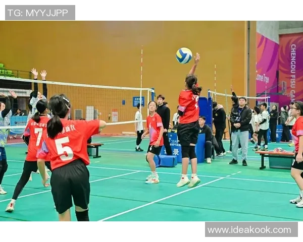 成都排球队边路渗透战术解析与深度剖析排球技战术的魅力与挑战