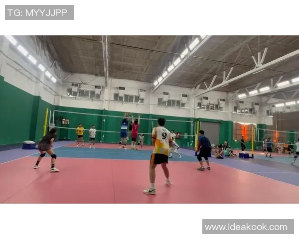 深圳排球队速度之争引发热议球迷观点各异分析精彩瞬间